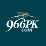 966Pk Game